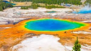 Our forefathers were convinced of this yellowstone national park is an extraordinary place. Yellowstone National Park Wyoming Book Tickets Tours