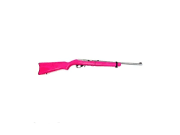 ruger 10 22 takedown stainless pink