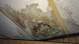 Mold To Look Out For After Water Damage