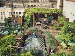 Rooftop Garden Ideas For Home Garden