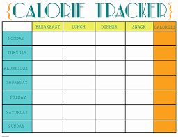 Calorie Counter Spreadsheet Then Printable Calorie Tracker
