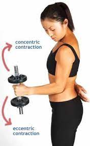 eccentric contractions are they rehab