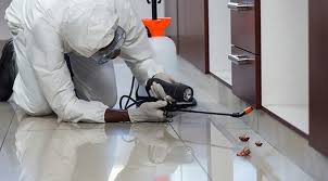 carpet cleaning and pest control