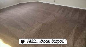 all star carpet cleaning dye reviews