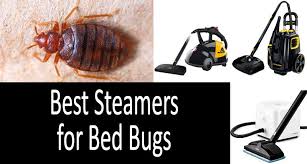best steamers for bed bugs kill bed