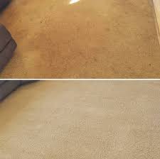 carpet cleaning in maitland hunter
