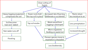 A Difficult Flow Chart Sample Answer Ted Ielts