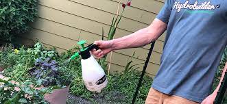 the best garden sprayer of 2023
