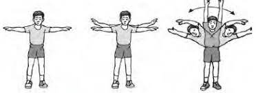 Latihan ini ditujukan untuk melatih kelenturan otot punggung. 7 Bentuk Latihan Kelentukan Langkah Bugar
