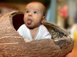 100 funny baby pictures wallpapers com