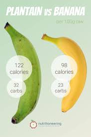 plantain vs banana nutrition which is
