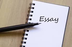 write an essay for me