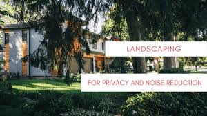 Landscape For Privacy And Noise Reduction