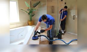 professional tile cleaning service san