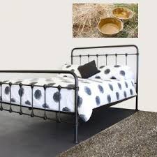 Single bed frame, blue wooden platform bed frame with headboard and footboard. Timber Beds Brisbane Single Bed Frame For Sale Single Beds Online Australia Dial A Bed