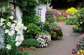 Cottage Charm In Your Garden
