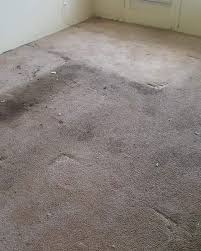 carpet cleaning company st clair