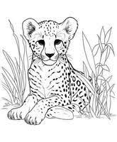 cheetah coloring page vector art icons