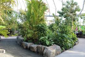 the leaf tropical gardens in winnipeg