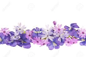 Resultado de imagen de ramilletes de floressilvestres y violetas