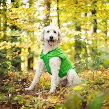 Kurgo Loft Dog Jacket Reversible Dog Coat For Cold Weather Green Grey Medium
