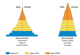 Population Age Structure
