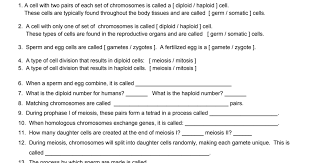 Briefly describe the difference of metaphase i & il. Meiosis Worksheet Pdf Google Drive