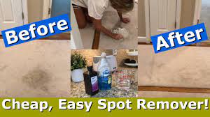 diy carpet stain remover for pennies