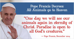Image result for pope francis with animals