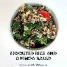 sprouted brown rice quinoa salad tara