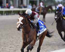 The belmont stakes is long past, and the winner tiz the law will not be at pimlico. Kentucky Derby 2020 Why Your Horse Can And Can T Win
