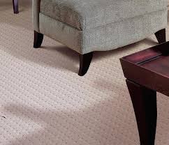 Stainmaster Carpet Stainmaster Trusoft Carpet Lowes