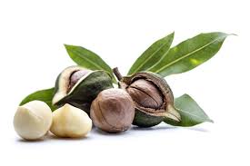 Орех макадамия сочетает аромат шоколада, отменный вкус и лечебные свойства, благодаря витаминам и ценным веществам. Food Predictions For 2020 Macadamia Nut Takeover