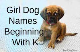 puppy names beginning with k