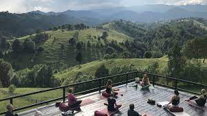 finding the best yoga retreat 2024