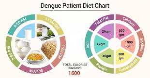 Diet Chart For Dengue Patient Diet For Dengue Chart Lybrate