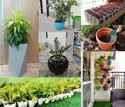 best plant nursery garden