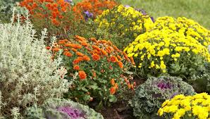 Plan For Your Fall Garden In Spring