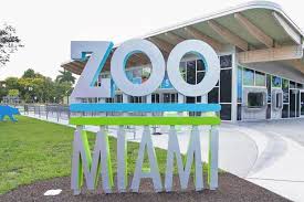 Miami Zoo: 12 Tips & Tricks When Visiting with Kids