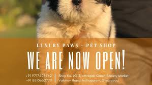Our pet hospitals are providing reduced services and have different procedures in place to keep everyone safe. Luxury Paws Pet Shop Luxury Paws Pet Shop Is Situated In Amrapali Green Complex In Indirapuram We Offer Wide Range Of Products Related To Dogs Cats