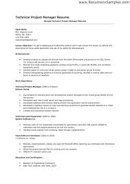 career objectives examples for resumes resume format web with marketing  objective samples design