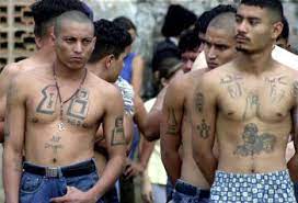 The prisons are hopelessly overcrowded. Assessing El Salvador S Gangs In A Post Truce Context Insight Crime
