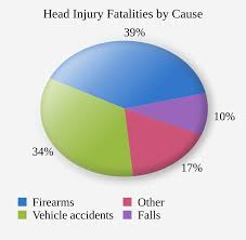 File Tbi Fatalaties Causes Chart Svg Wikimedia Commons