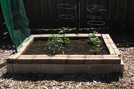 I made one ferrocement garden box 3ft x 13 ft by 20in deep. The Quick And Easy Way To Build A Cinder Block Raised Bed Garden And Happy