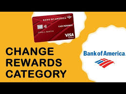 america cash rewards credit card