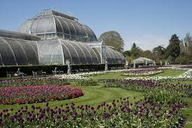 visitor s guide to kew gardens in london
