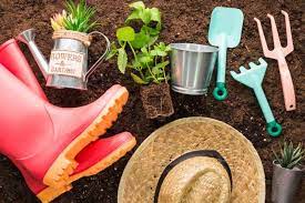 Best 50 Tools For Gardening To Try This