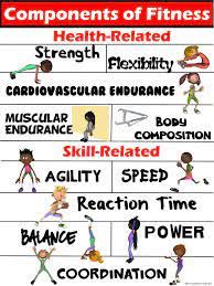 Exercises that work the core are exerci… reaction time is the lapse of time betw… Pe Poster Components Of Fitness Health And Skill Related Physical Education Activities Physical Education Elementary Physical Education