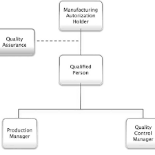 Standard Organizational Chart For A Gmp Production Site