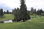 Forest Hills Golf Course - Oregon Courses
